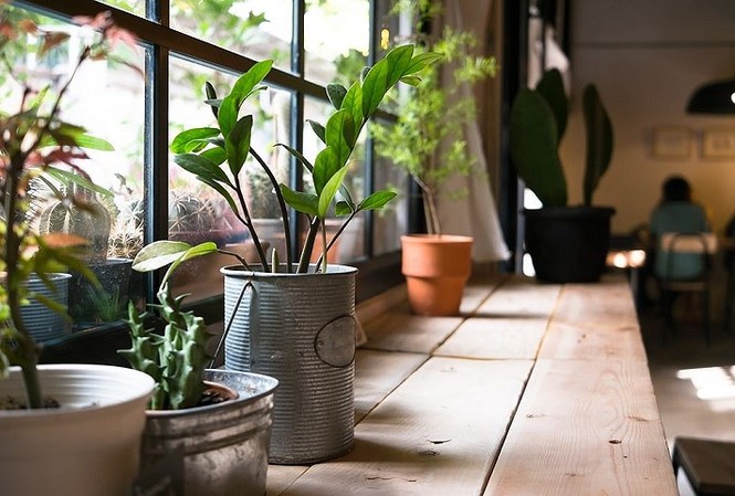 Đón năm mới đầy năng lượng bằng vật dụng đơn giản trong nhà Đón năm mới đầy năng lượng bằng vật dụng đơn giản trong nhà