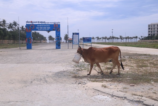 Đà Nẵng: Khẩn trương mở lối xuống biển cho dân Lối xuống biển Sơn Thủy đã được mở ngay cạnh dự án The Song. Ảnh Nguyễn Thành