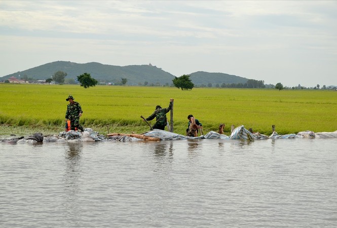 ĐBSCL xả lũ: Vùng chảy xiết cho học sinh nghỉ học Ban đạo Trung ương về Phòng chống thiên tai yêu cầu các tỉnh ĐBSCL đảm bảo an toàn cho hạ du khi mở cửa đập xả lũ