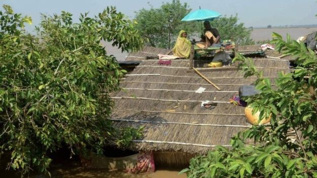Lũ lụt khủng khiếp: 300 người chết, 6 triệu người bị ảnh hưởng Người dân leo lên nóc nhà tránh lũ ở bang Bihar, Ấn Độ.
