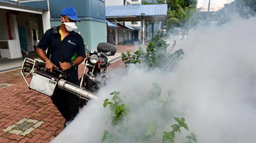 Số người nhiễm Zika ở Singapore lên tới 242 người Nhân viên kiểm soát dịch bệnh phun thuốc diệt muỗi ở Bedok North, Singapore
