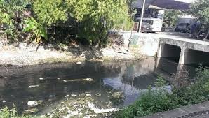 Sông Cầu Bây sắp được ‘giải cứu’ Sông Cầu Bây sắp được ‘giải cứu’