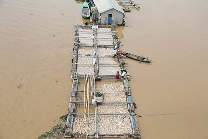 Dân xót xa nhìn hàng trăm tấn cá chết trắng sông La Ngà Dân xót xa nhìn hàng trăm tấn cá chết trắng sông La Ngà