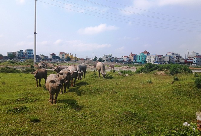 Huỷ phong toả nhưng vẫn tiếp tục vụ án tại KCN Đồng Văn II Khu công nghiệp Đồng Văn II hiện còn nhiều khu vực chưa hoàn thiện