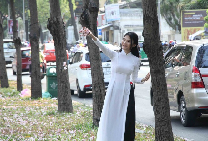 Triệu cánh kèn hồng rực rỡ khoe sắc trong lòng phố thị Sài Gòn Triệu cánh kèn hồng rực rỡ khoe sắc trong lòng phố thị Sài Gòn