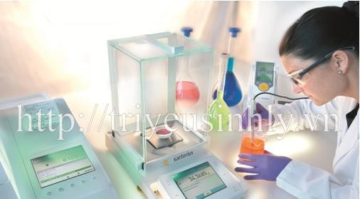 Dược lực maca - hành trang đắc lưc cho quý ông bị viêm tuyến tiền liệt Dược lực maca - hành trang đắc lưc cho quý ông bị viêm tuyến tiền liệt