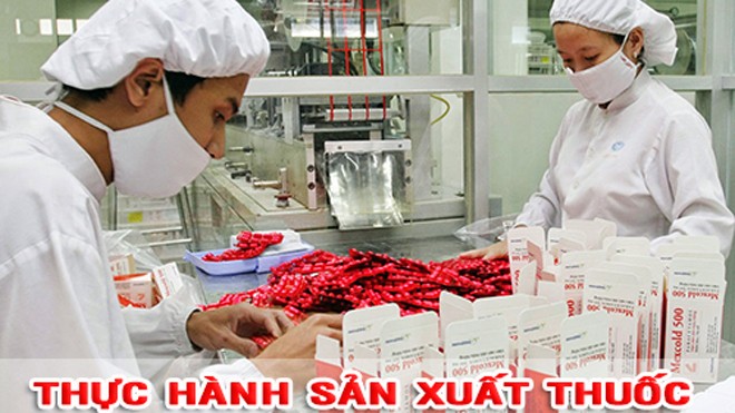 Nâng cao kỹ năng cho lao động ngành dược Việt Nam Nâng cao kỹ năng cho lao động ngành dược Việt Nam