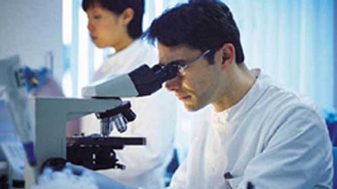 Mối liên quan giữa vẩy nến và hệ thần kinh Nghiên cứu về bệnh vẩy nến của các nhà khoa học Mỹ mang lại nhiều hy vọng cho bệnh nhân