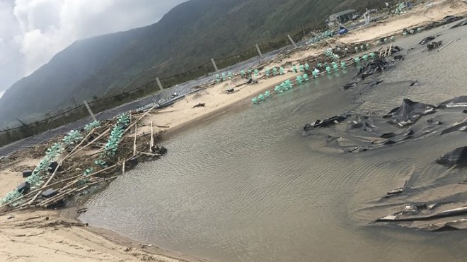 Hàng chục đầm tôm tan hoang sau cơn bão khủng khiếp Cảnh tan hoang ở hồ tôm sau cơn bão số 10