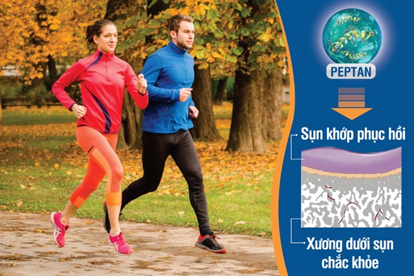 Làm sao “cắt” cơn đau khớp an toàn? Dưỡng chất sinh học PEPTAN (có trong JEX Max) giúp giảm đau xương khớp an toàn, hiệu quả, hỗ trợ phục hồi cấu trúc khớp nhờ khả năng tác động kép vào sụn và xương dưới sụn.