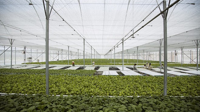 2 năm “Hành trình sạch – tương lai xanh” của Vineco 2 năm “Hành trình sạch – tương lai xanh” của Vineco