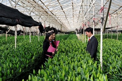 Agribank thúc đẩy tín dụng xanh cho phát triển bền vững Agribank thúc đẩy tín dụng xanh cho phát triển bền vững