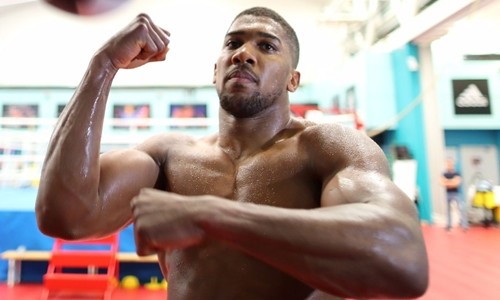 Tay đấm Joshua dọa hạ knock-out đối thủ 'đầu cứng như xi măng' Joshua tự tin trước trận giữ đai vô địch với Takam