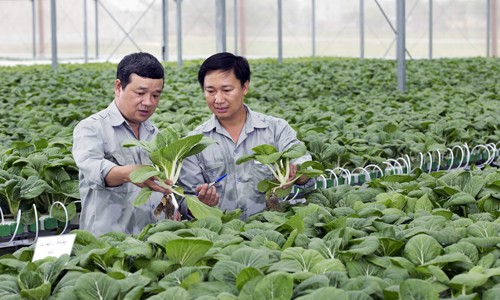 Vĩnh Phúc đạt và vượt 17/21 chỉ tiêu kinh tế - xã hội Vĩnh Phúc đạt và vượt 17/21 chỉ tiêu kinh tế - xã hội