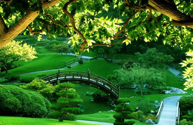 Những lợi thế khi sống gần công viên Sống gần công viên sẽ giảm tỉ lệ mắc bệnh lo âu, trầm cảm