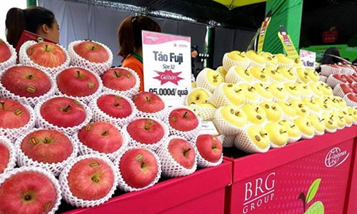 Táo sạch từ Nhật Bản chính vụ 2018 đã có mặt tại Việt Nam Táo sạch từ Nhật Bản chính vụ 2018 đã có mặt tại Việt Nam