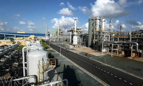 Đạm Cà Mau: Niềm tự hào từ công trình trọng điểm quốc gia Đạm Cà Mau tự hào khi đóng góp cho nông nghiệp từ công trình trọng điểm quốc gia