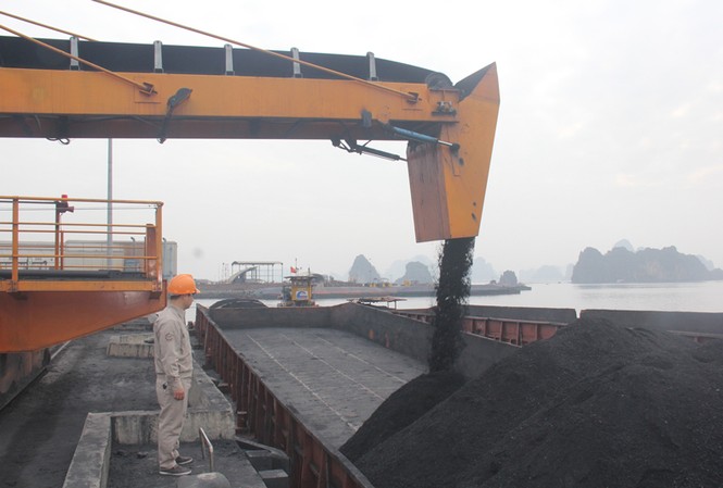 Cty Kho vận và Cảng Cẩm Phả - TKV: Tiêu thụ 3.700 tấn than trong năm Công ty Công ty Kho vận và Cảng Cẩm Phả - TKV đã tổ chức rót 3.700 tấn than cám 6a.1 tiêu thụ thị trường nội địa