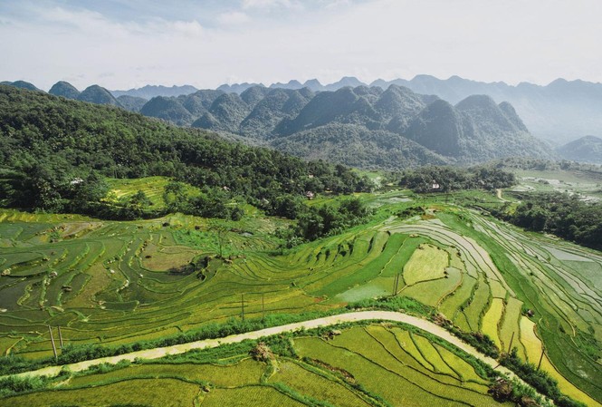 Phải lòng những “nàng thơ” xanh ngắt của Việt Nam trong tiết trời Xuân Có một Pù Luông đẹp ngỡ ngàng thế này ở xứ Thanh! - Ảnh: Mai Lân