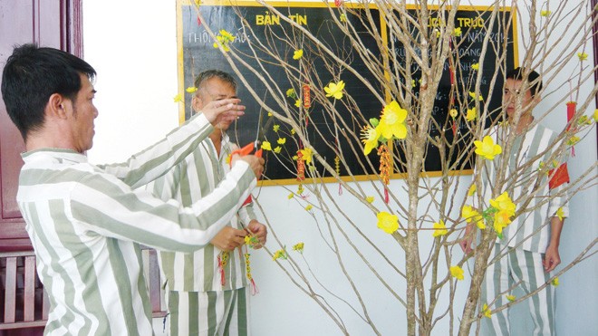 Ăn Tết ở... tù Phạm nhân Nguyễn Thanh Bảy (trái) đang trang trí cây mai đón Tết