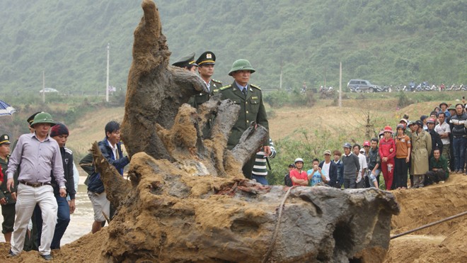 Ông trùm xuất hiện, tình thế thay đổi Ông Hùng “mía” luôn theo sát gốc gỗ sưa cùng người của cơ quan chức năng, trong lúc đó người dân không được đến gần