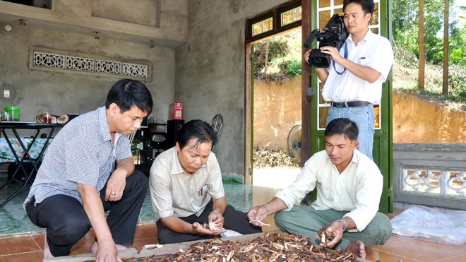 Nhiều người uống nấm lim xanh chữa bệnh ung thư Người bị bệnh hiểm nghèo cần anh Nguyễn Đình Hoa tư vấn cách dùng nấm lim xanh chữa bệnh có thể liên lạc đến Công ty TNHH MTV Nấm Lim Xanh Nguyễn Đình Hoa Tiên Phước, điện thoại: 05113 822488. Hoặc liên lạc trực tiếp anh Hoa: 01677 410700 - 01206 030807.