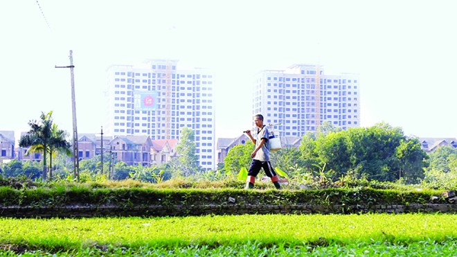 Hoang mang các “nghiên cứu thị trường bất động sản” Không ít các đơn vị công bố các nghiên cứu về thị trường BĐS lại đồng thời là nhà phân phối BĐS ẢNH: NHƯ Ý