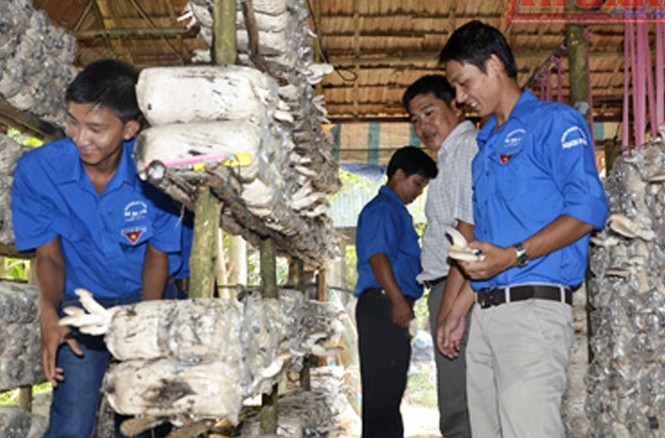 Thoát nghèo từ nấm bào ngư Đoàn viên, thanh niên tham quan mô hình trồng nấm của anh Luận