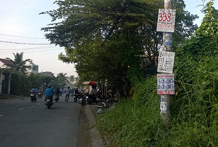 Dễ tay trắng khi mua đất nền “siêu rẻ“ Nhiều biển rao bán đất nền treo trên cột điện tại khu vực vùng ven.