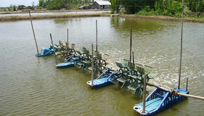 Đang nhậu 'dở chứng' thách nhau lặn, một người chết đuối Ảnh minh họa.