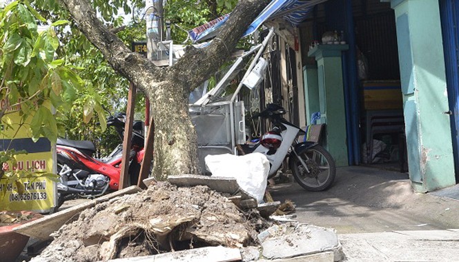 Xe đầu kéo tông cây xanh, đè lên nhà dân rồi bỏ chạy Hiện trường cây xanh bị xe đầu kéo tông ngã đè lên nhà dân. Ảnh: Đông Sơn.