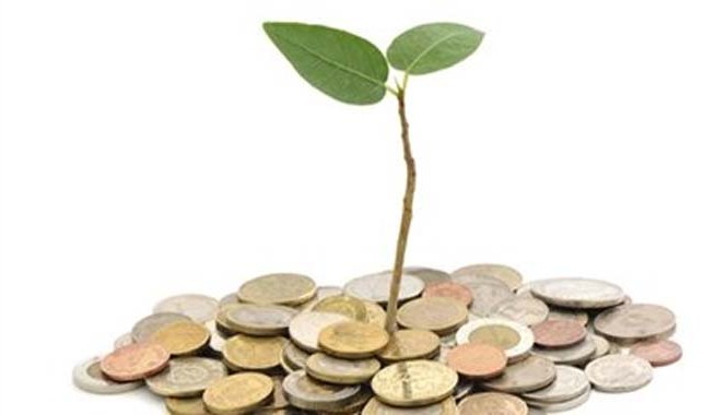 Quy định mới về đại học không vì lợi nhuận Ảnh minh họa