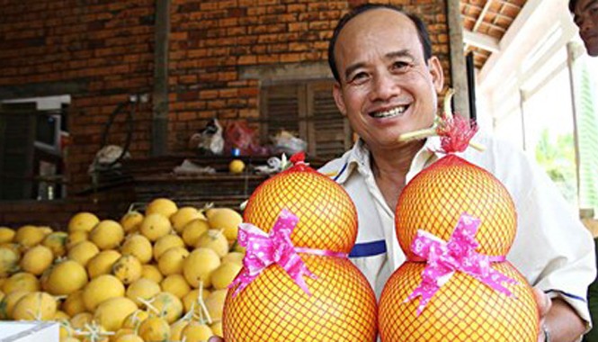 Nửa triệu đồng một cặp dưa hấu hồ lô tại vườn Mỗi cặp dưa hồ lô có giá 500.000 đồng.