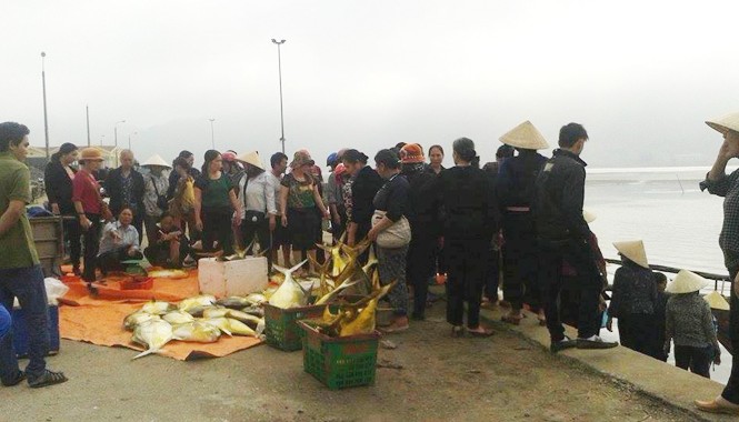 Ngư dân trúng mẻ cá “lạ”, bán được 400 triệu đồng Ngay khi lên bờ, mẻ cá này đã được mua với giá gần 400 triệu đồng.