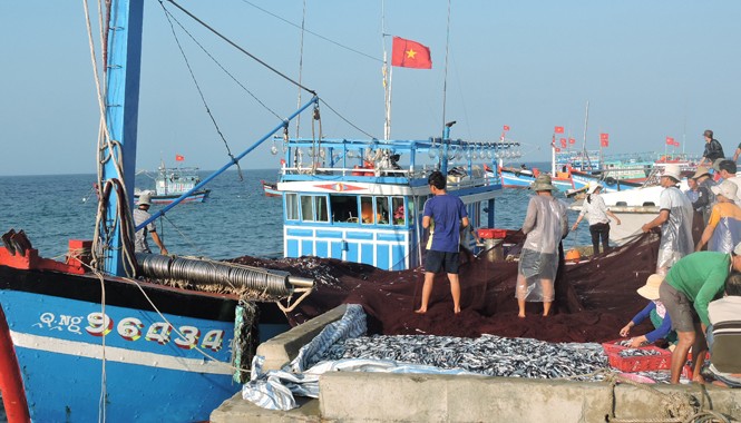 Ngư dân Lý Sơn trúng 'lộc biển' đầu năm Tàu cá của ngư dân Nguyễn Văn Tri cập đảo sau một đêm bám biển, bám ngư trường ven đảo.