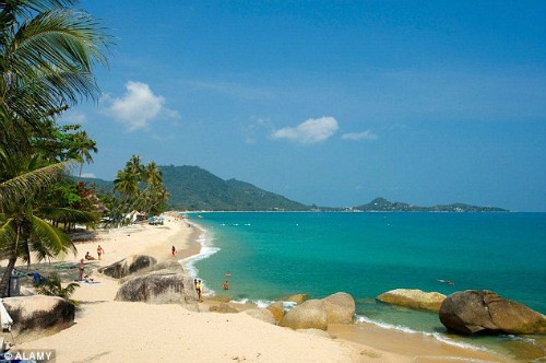 Du khách tử vong do bị sứa đốt tại resort Bãi biển Lamai, Tambon Mared. Ảnh:Alamy.