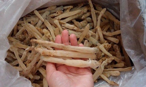 Tiểu thương cấp tập mua sá sùng khô: 4 triệu đồng/kg vẫn cháy hàng Nhiều tiểu thương thu gom mua để dành bán dịp Tết trong khi nguồn cung hạn chế khiến loại đặc sản này đang cháy hàng dù giá bán hơn 4 triệu đồng một kg. Ảnh: Phương Trà.