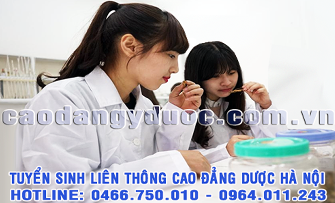 Liên thông Cao đẳng Dược chính quy ở đâu đạt chuẩn Bộ Y tế? Liên thông Cao đẳng Dược chính quy ở đâu đạt chuẩn Bộ Y tế?
