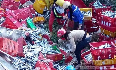 Xe tải bay xuống mương sâu, 1 tấn cá văng tung toé Cá văng tung toé.