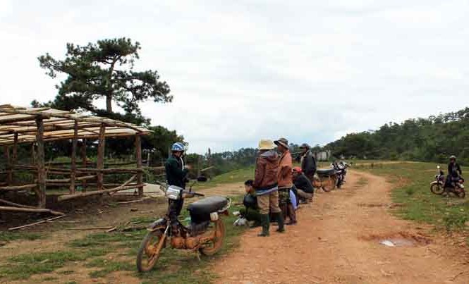 Nghi án kẻ trộm lùa cả bầy trâu trong đêm Chuồng trâu bị trộm "ghé thăm".