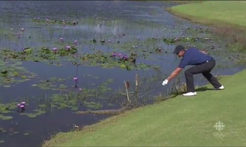 Golf thủ Olympic lấy gậy chọc cá sấu Stenson lấy gậy chọc vào người con cá sấu.