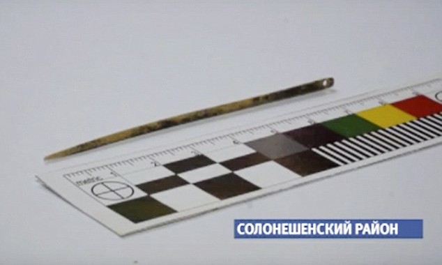 Kim siêu bền vẫn dùng được sau 50.000 năm Cây kim được làm từ xương chim và dài 7,6cm.