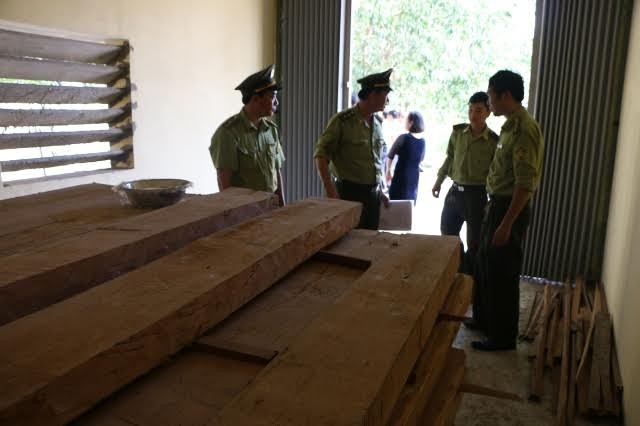 Giám đốc sở trữ gỗ lậu ở cơ quan Số gỗ chua bị tạm giữ.