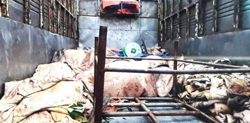Phát hiện xe chở hơn 3 tấn mỡ động vật, da trâu bò đã bốc mùi 3,4 tấn mỡ động vật và da trâu bò.