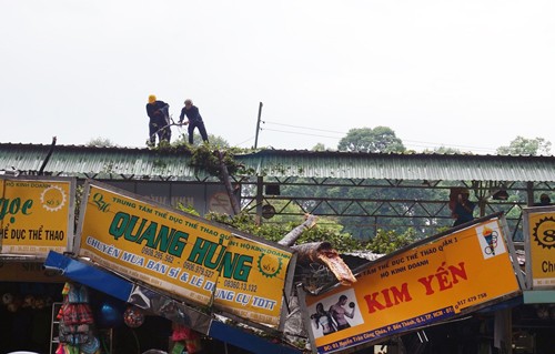 Cành cổ thụ đè sập 2 cửa hàng ở trung tâm Sài Gòn Nhánh cây rỗng ruột đè sập 2 cửa hàng. Ảnh: Sơn Hòa.