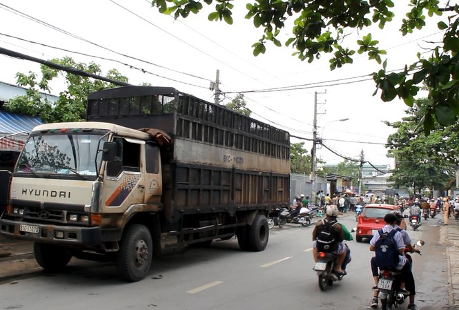 Cô gái chết thảm dưới bánh xe tải Hiện trường tai nạn.