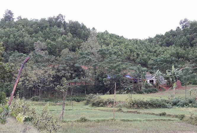 Hai bố con ở Nghệ An bị sét đánh tử vong ngay trên giường Gia đình nạn nhân nơi xảy ra sự việc.