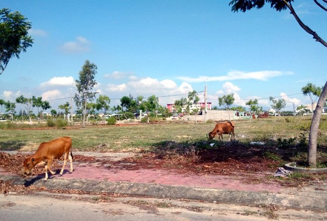 Cẩn trọng 'sập bẫy' dự án mượn danh Đà Nẵng để quảng cáo Cẩn trọng 'sập bẫy' dự án mượn danh Đà Nẵng để quảng cáo