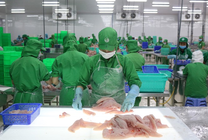 IDI dự kiến hoàn thành 130% kế hoạch sau 9 tháng đầu năm 2017 IDI dự kiến hoàn thành 130% kế hoạch sau 9 tháng đầu năm 2017