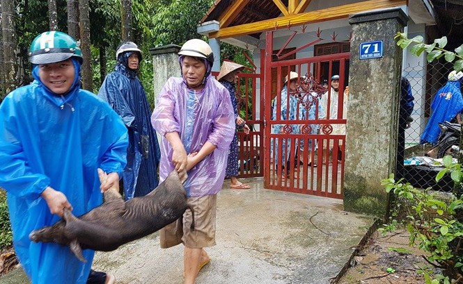 Hối hả chuyển đồ, tháo chạy khỏi vùng sạt lở Người dân hối hả chuyển đồ chạy khỏi vùng sạt lở.